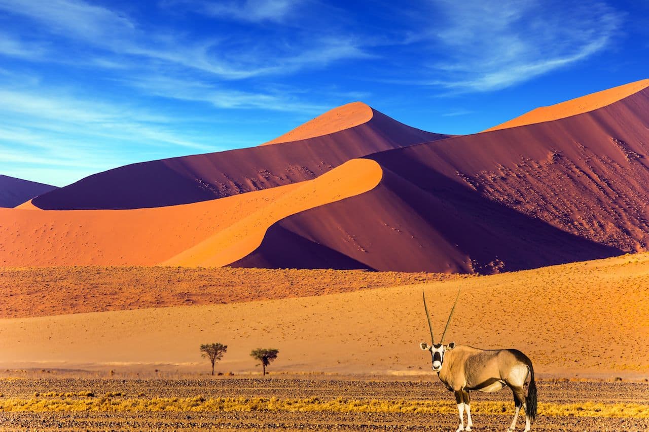 How Can Indians Plan a Namibia Trip on a Budget?