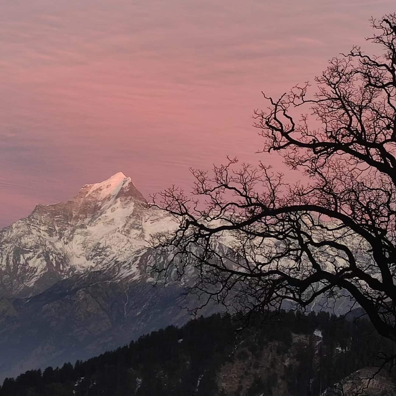 Kuari Pass Trek