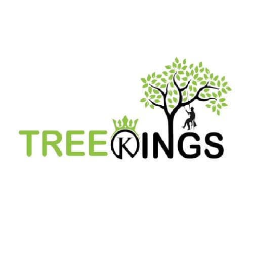TREE KINGS