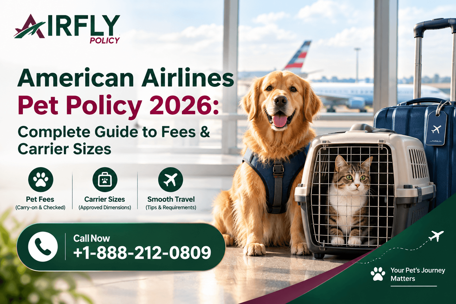 American Airlines Pet Policy 2026: Complete Guide to Fees & Carrier Sizes