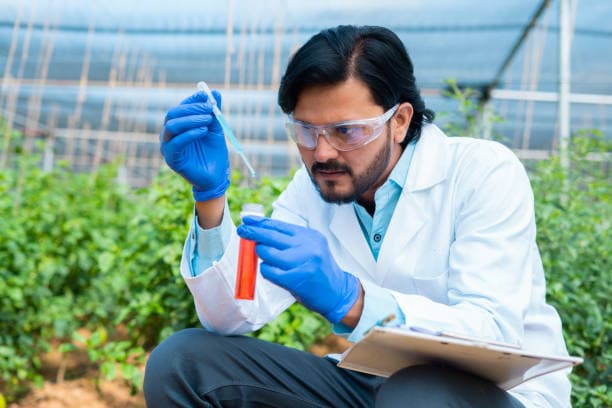 Choosing the Right Partner for Quality Nutraceutical Solutions