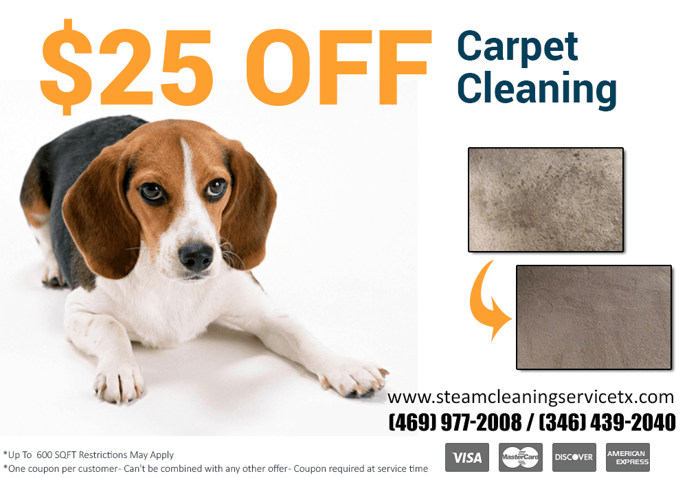 Steam Cleaning Service Dallas TX