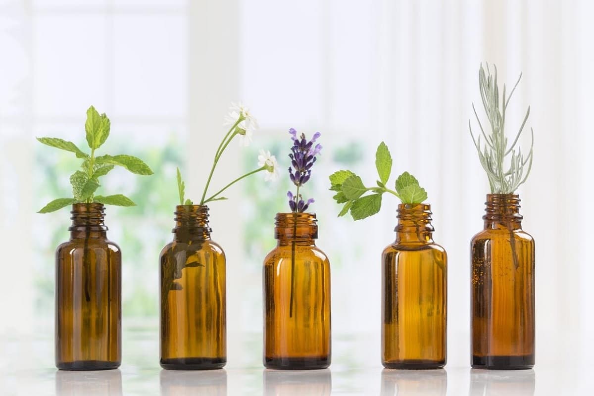 Buy Fragrance Oils Online in USA- Vedaoils USA