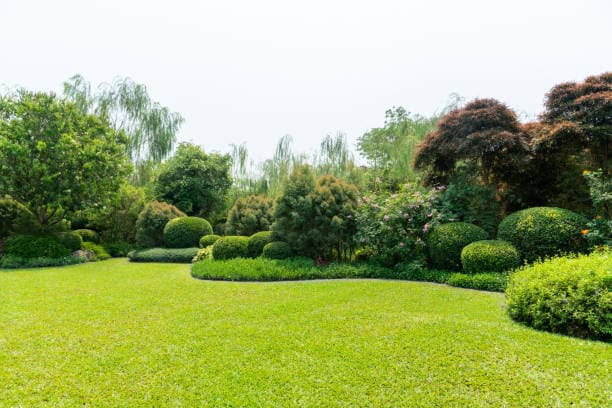 Holbrook Landscape