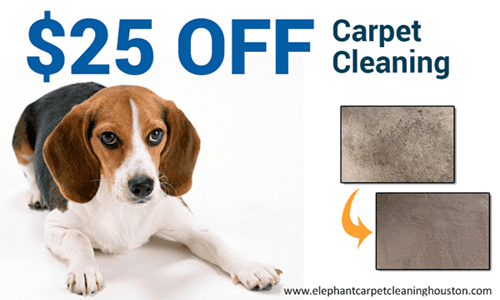 Elephant Carpet Cleaning Houston