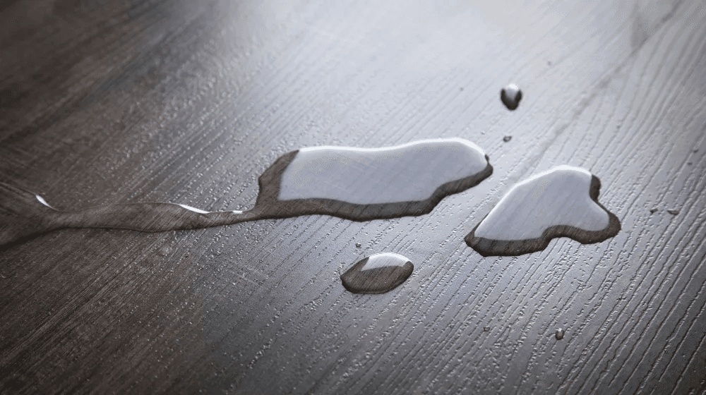 Black Mold Removal Fairfax VA: Protecting Your Property from Hidden Moisture Damage