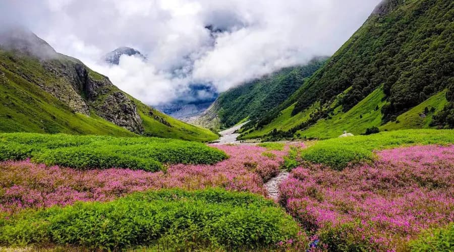 uttarakhand tour packages from delhi