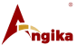 Digital Marketing Agency In Ranchi | Angika Technologies