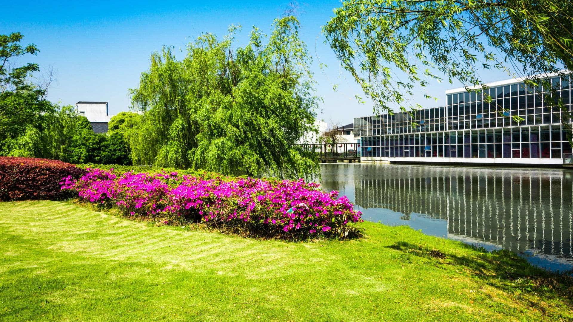 Commercial Landscaping