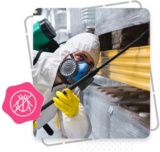 How Can a Pest Control Business Rank Higher on Google?