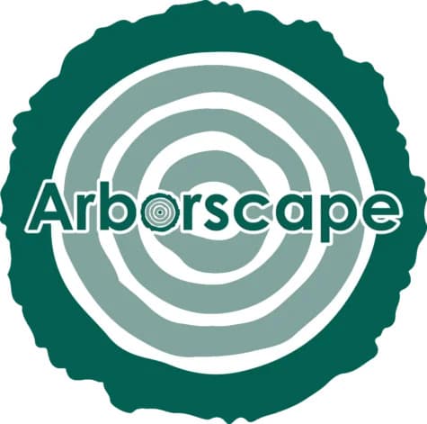 Landscaping Services in Cumbria