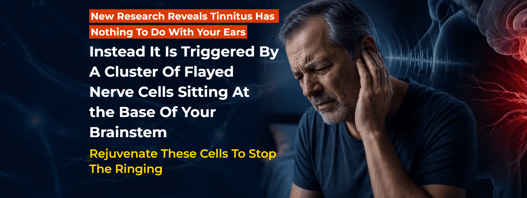 https://www.facebook.com/MindSilenceOfficial/