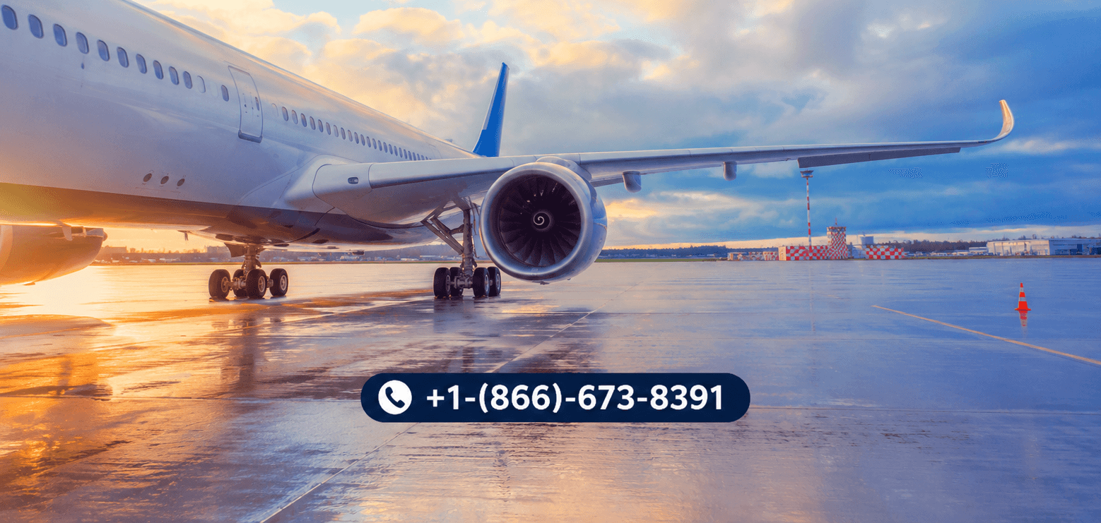 ¿Cómo gestionar cancelaciones de American Airlines?
