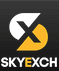 Skyexchange Art