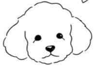 iBau Blog - Pet Care & Daycare Insights