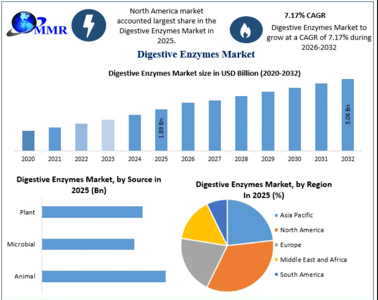 Digestive Enzymes Market Growth Trends, Competitive Landscape, and Industry Outlook 2032
