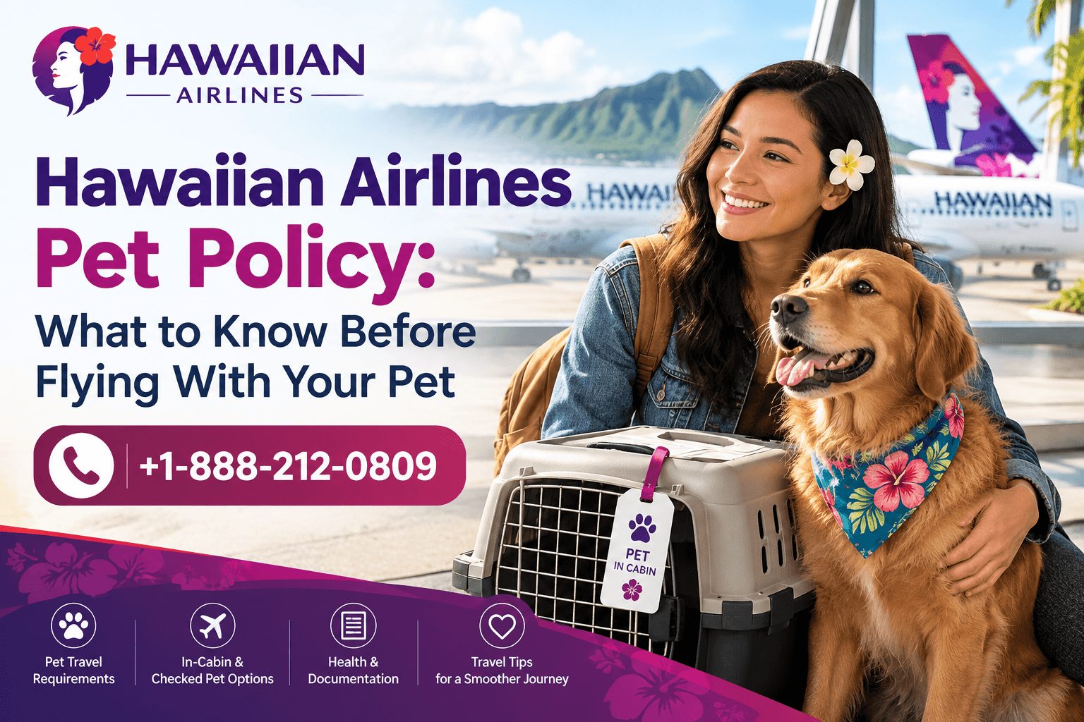 Hawaiian Airlines Pet Policy: What to Know Before Flying With Your Pet
