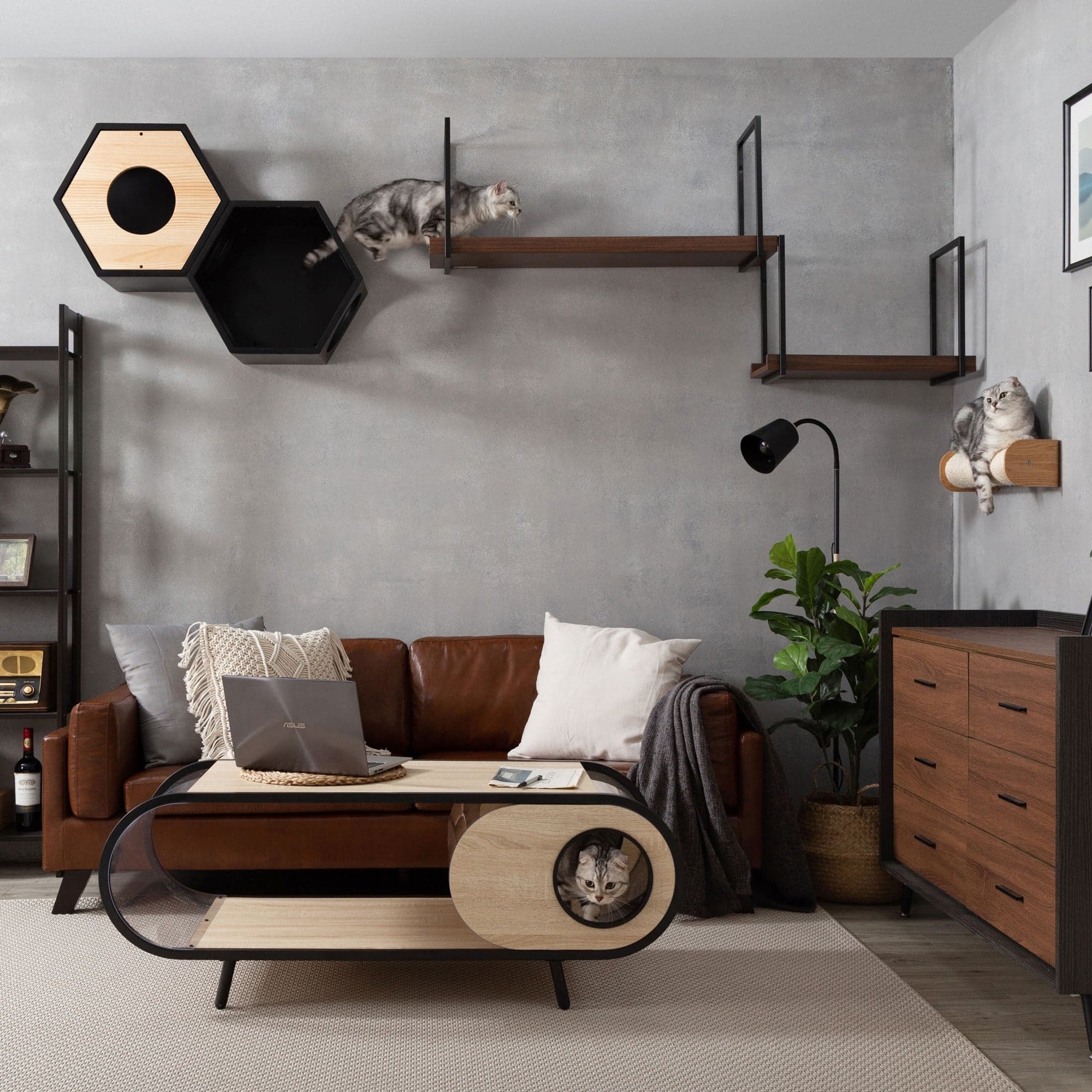 Cat Tree Alternatives for a Modern Living Room: 8 Real Ideas