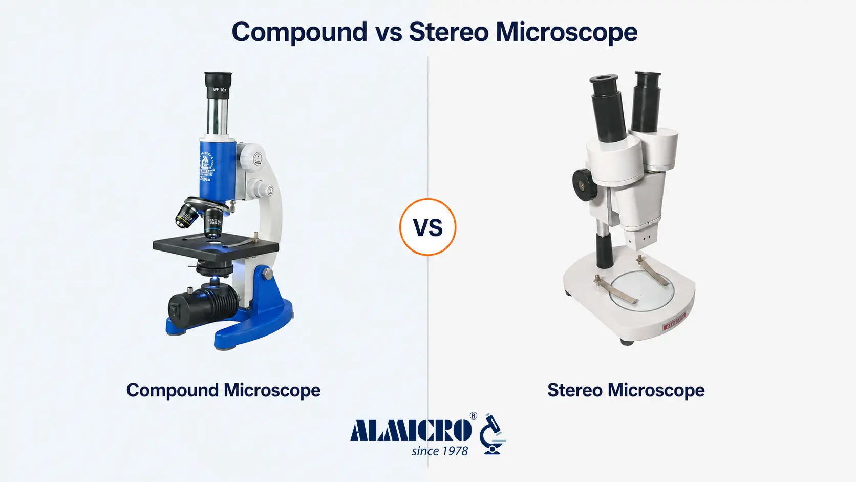 Compound Microscope vs Stereo Microscope for Different Applications