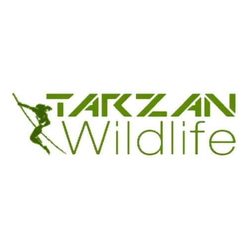 Tarzan Wildlife Removal