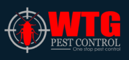 Ant infestation singapore