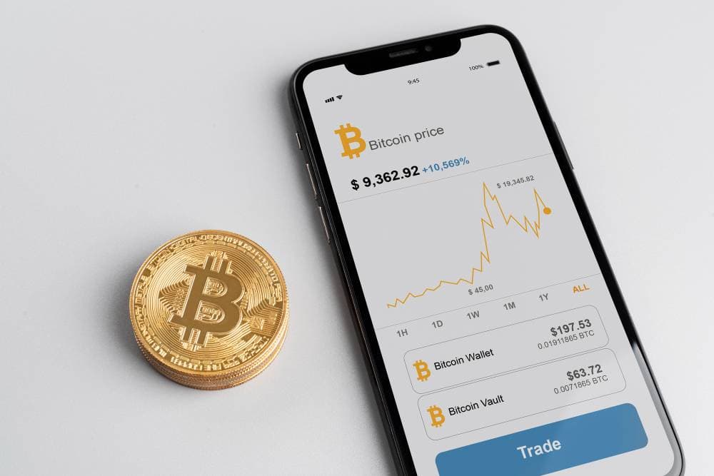 Everyone Was Talking About the Token—We Were the Team Behind It