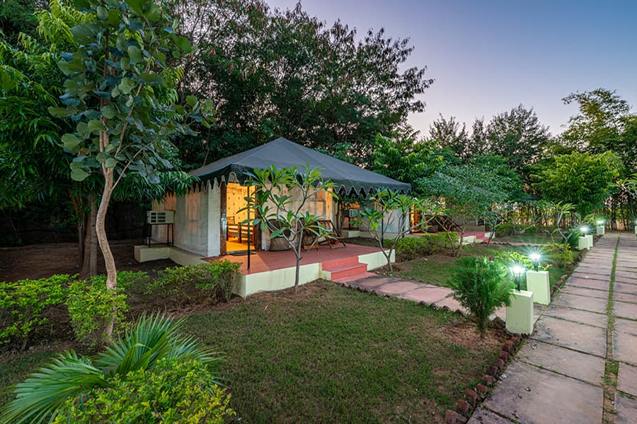 Luxury Hotels in ranthambore