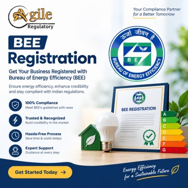 BEE Registration Process: How to Get a BEE Certificate and BEE Star Label Online