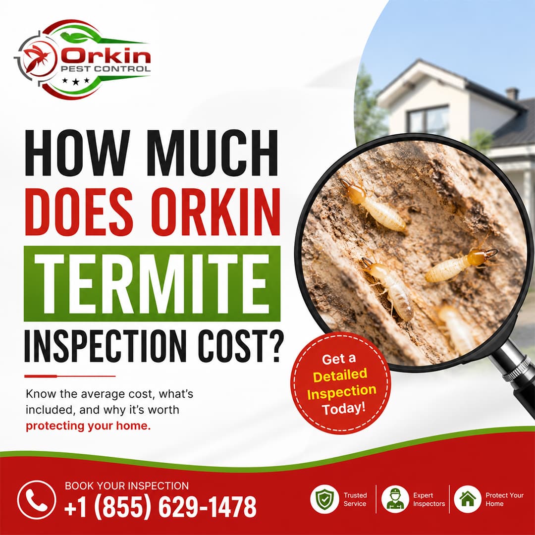 How Much Does Orkin Termite Inspection Cost?