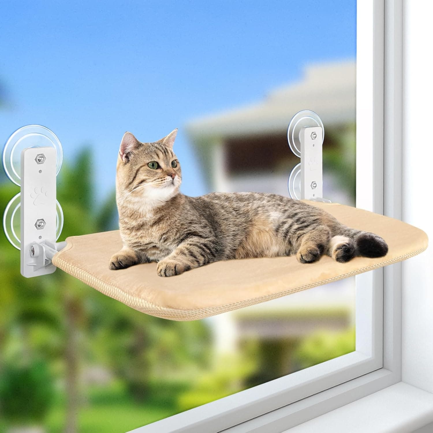 Window Catio Ideas for Apartments and Rentals | 7 Real Ideas
