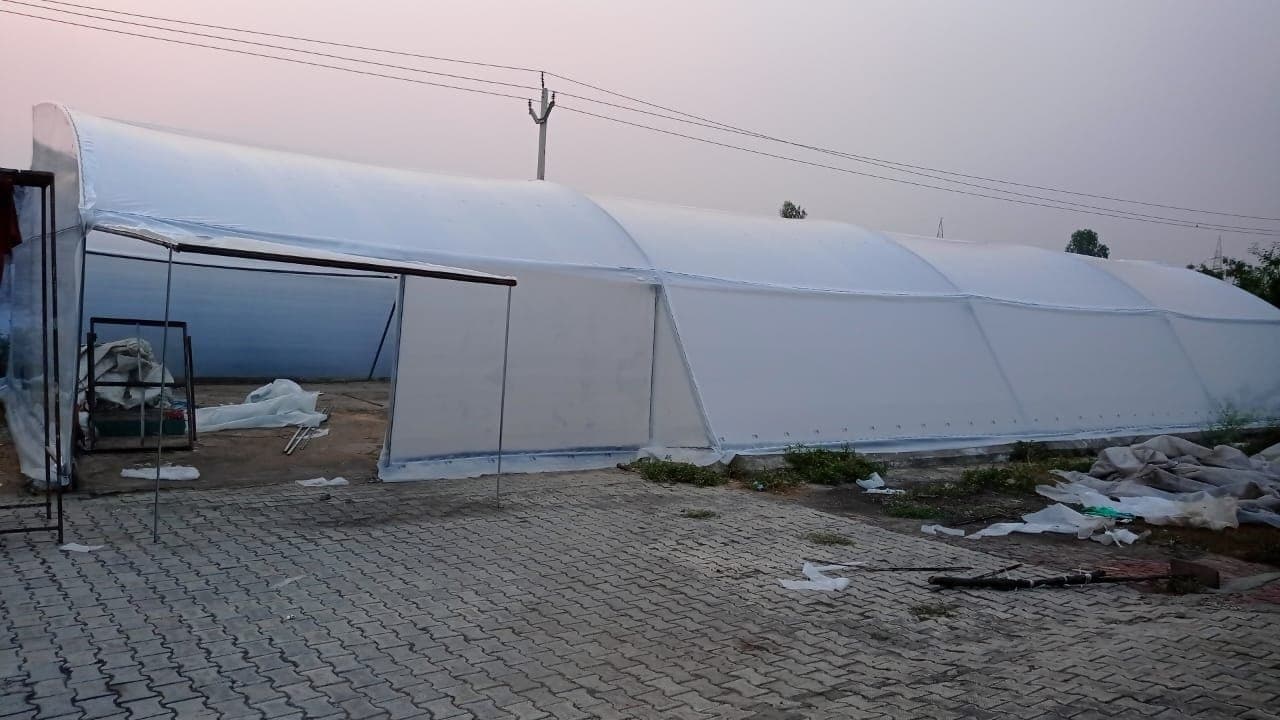 Modern Agriculture Solutions: The Power of Greenhouse Films!