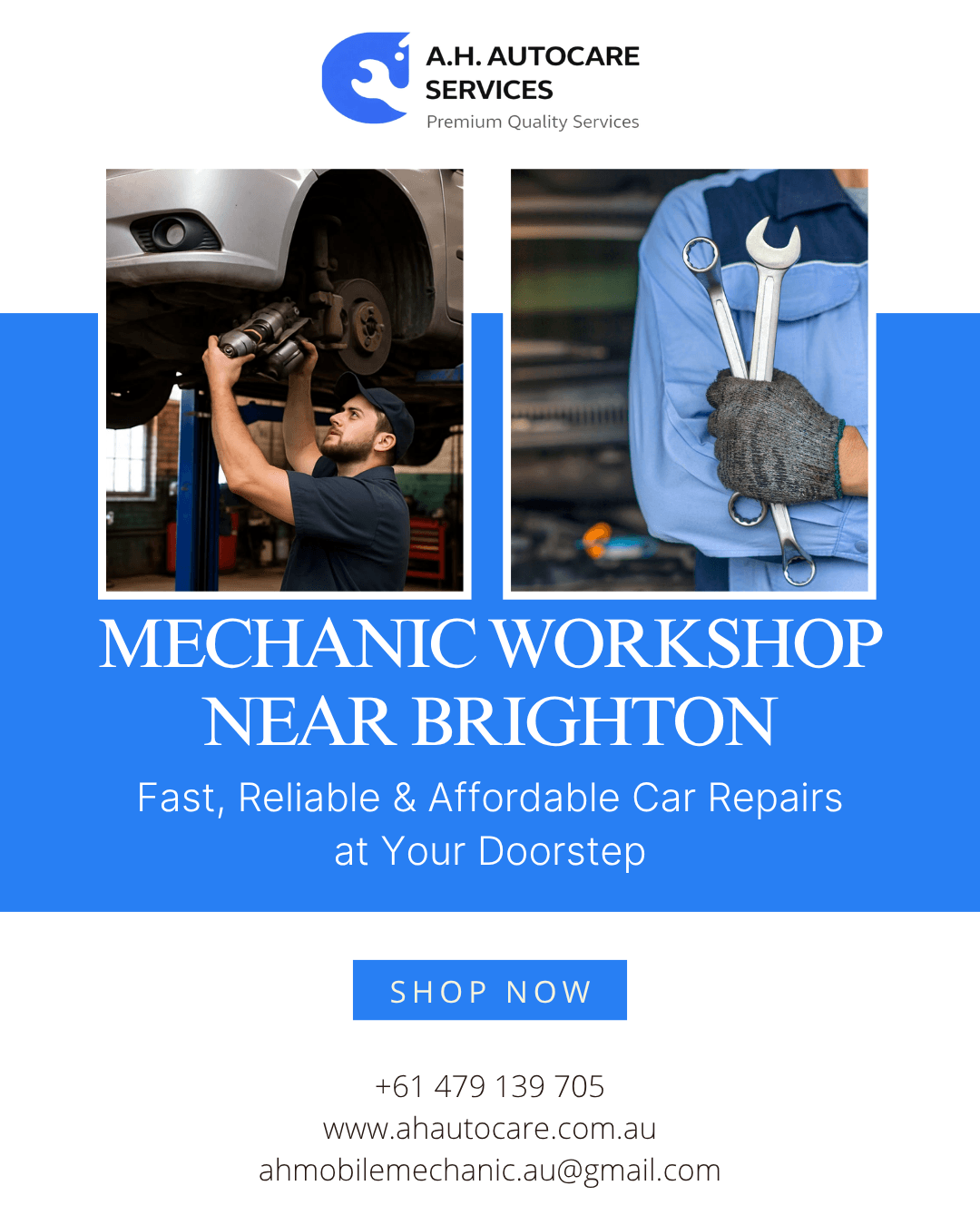 Professional Mechanic