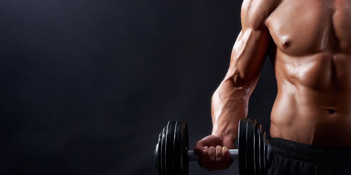 Best LegBest Legal Steroids For Muscle Growth for Natural Bodybuilding Supportal Steroids For Muscle Growth