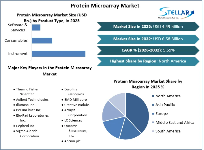 Protein Microarray Market to Hit $5.91B by 2030, Driven by Proteomics