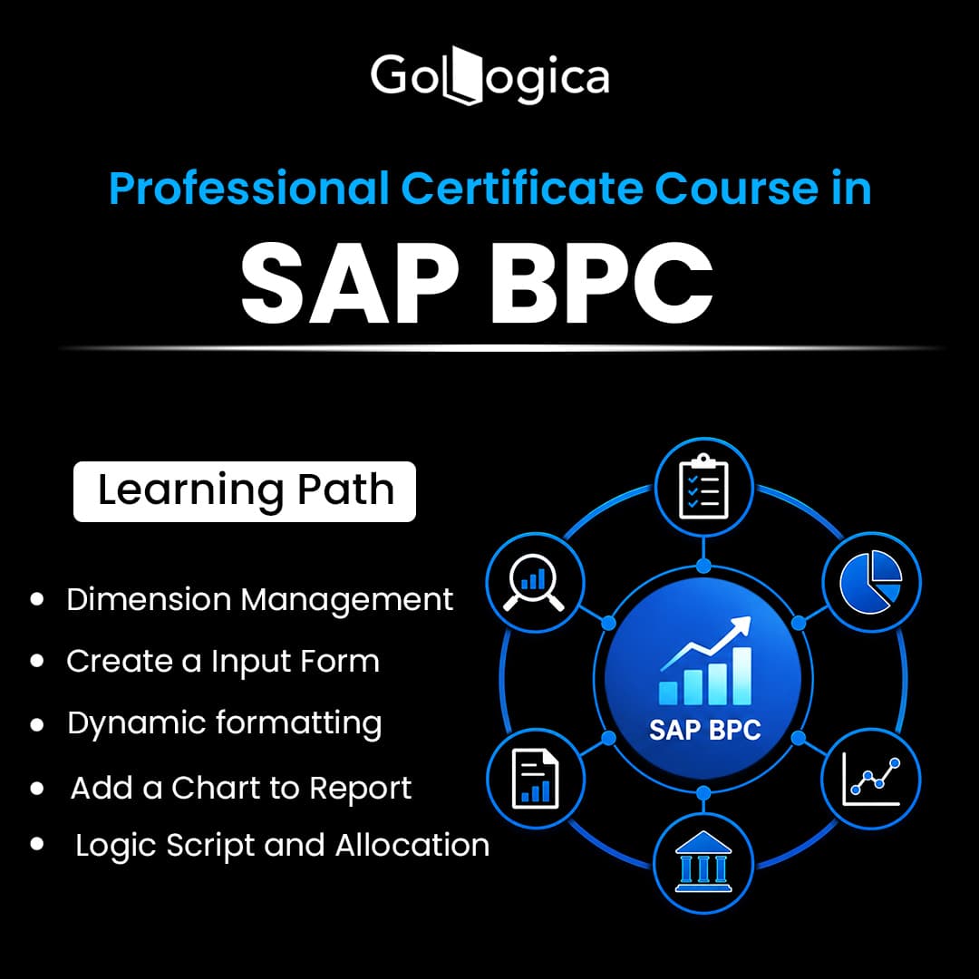 SAP BPC Online Training | SAP BPC Certification Course by GoLogica