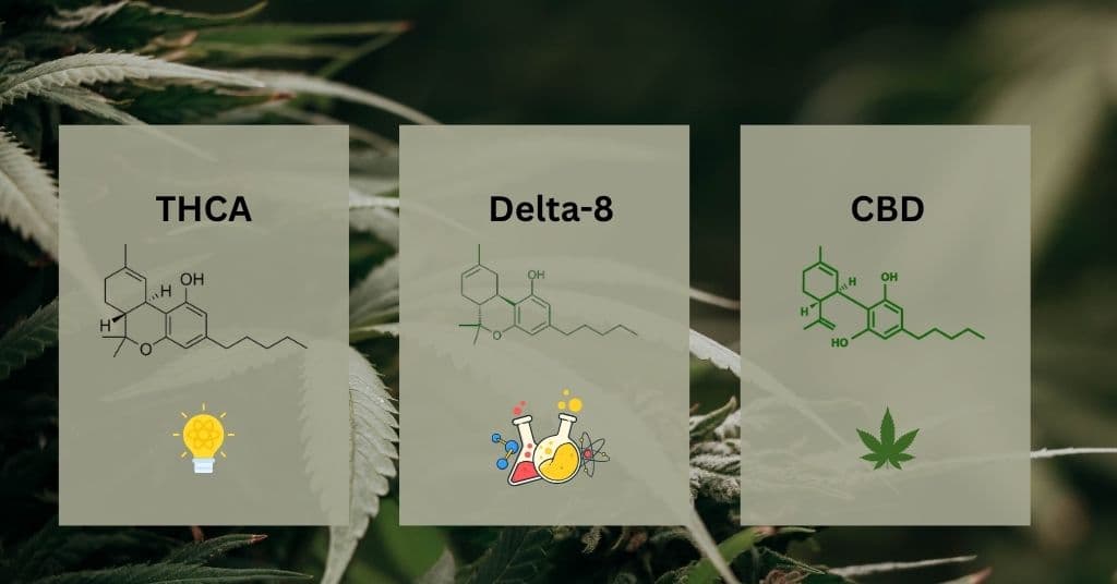 THCA: A Complete Guide to Benefits, Effects, and Legality in 2026