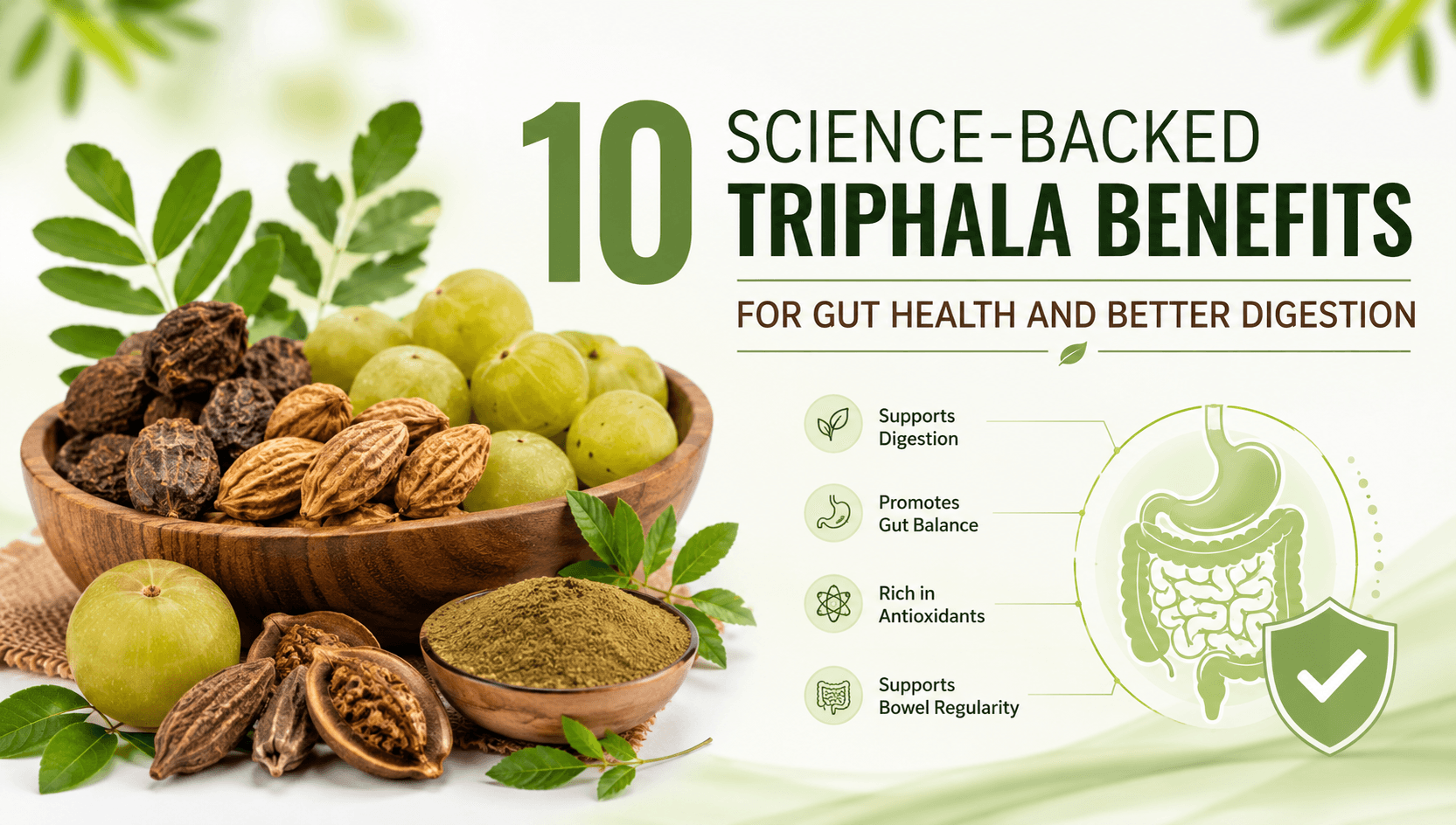 10 Science-Backed Triphala Benefits for Gut Health and Better Digestion