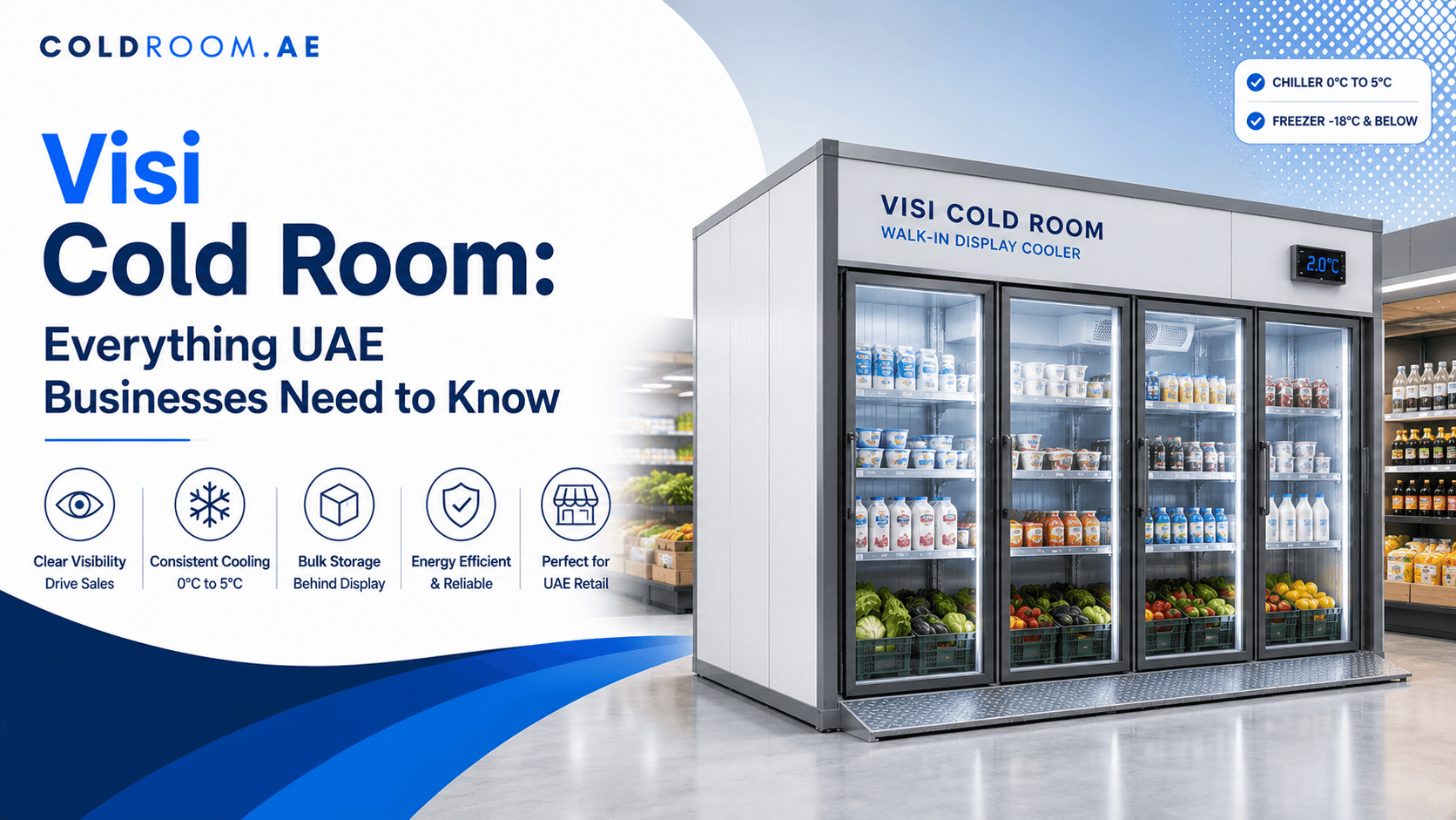 Visi Cold Room: Everything UAE Businesses Need to Know
