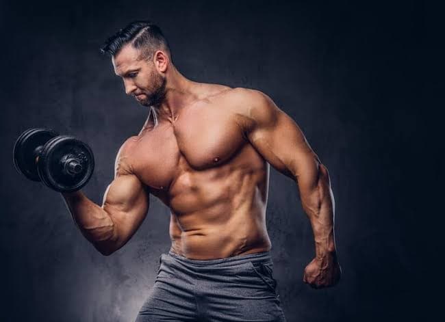 Legal Steroid Alternatives for Cutting Phases Without Losing Hard Muscle Gains
