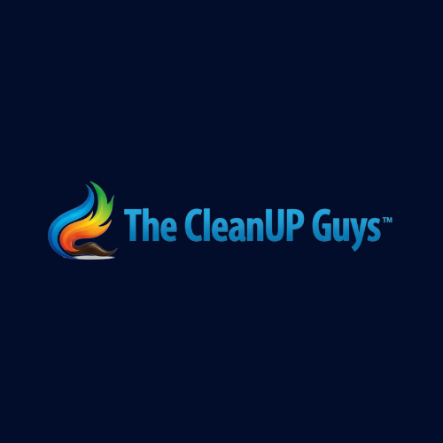 The CleanUP Guys
