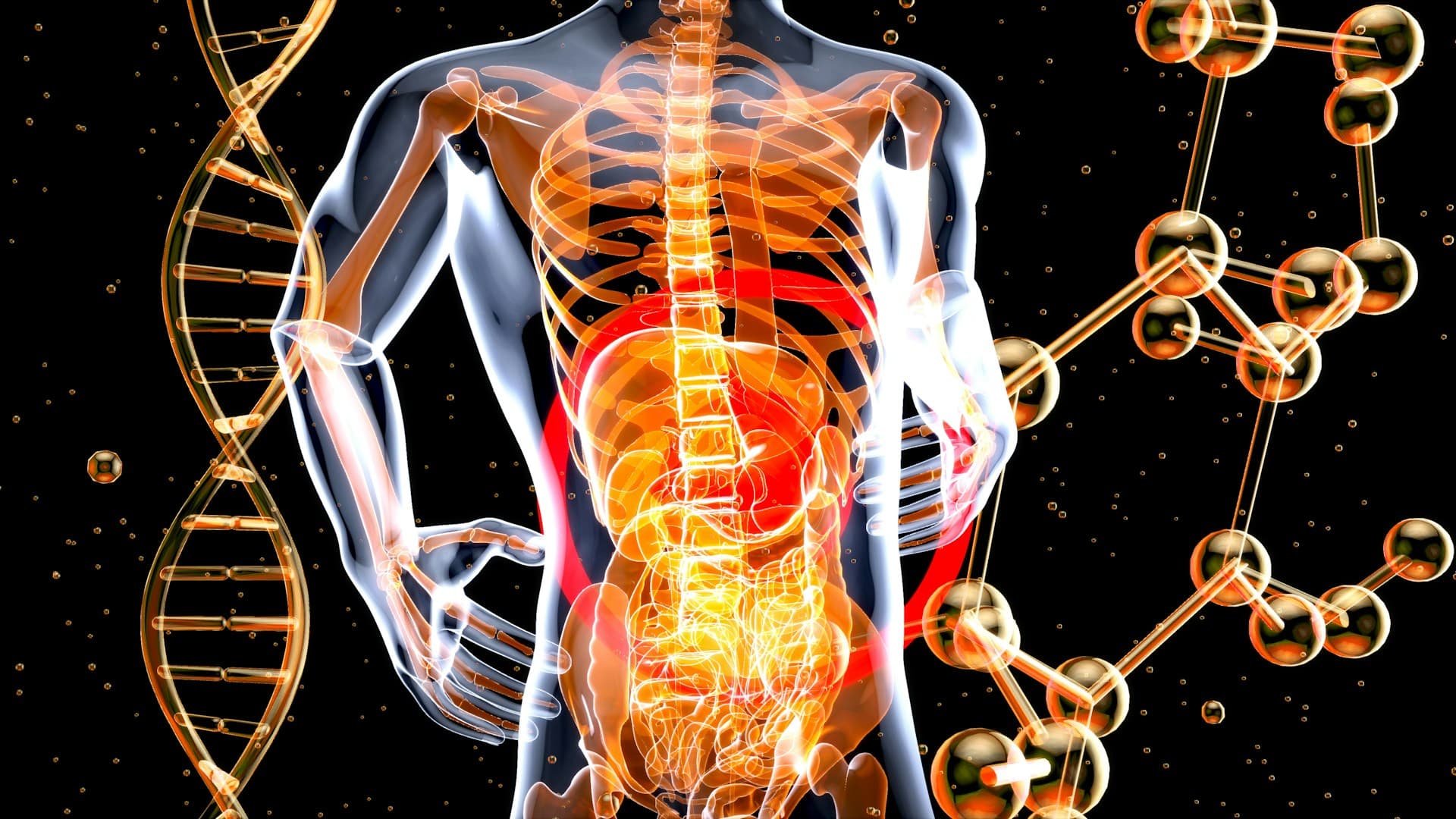 Best Gut and Microbiome Health Clinics near Palm Beach Gardens, Florida