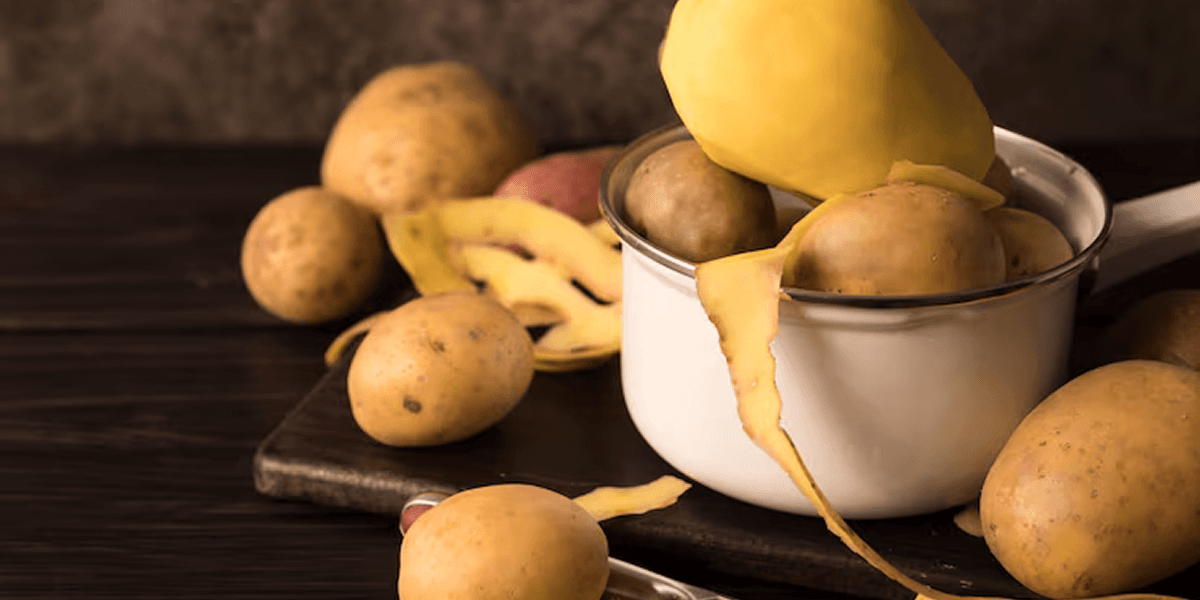 Choosing the Right Bulk Wafer Potato for High-Quality Snack Production