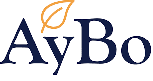 Discover AyBo: Personalized Ayurvedic Supplements for Modern Wellness