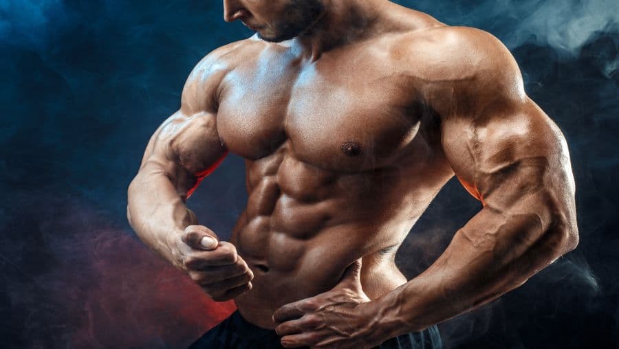 Best Legal Steroid Reviews and Buying Guide for 2026