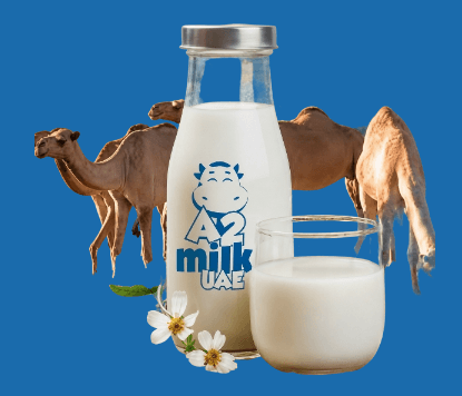 Camel Milk UAE | Fresh & Natural Camel Milk Delivery by a2milkuae