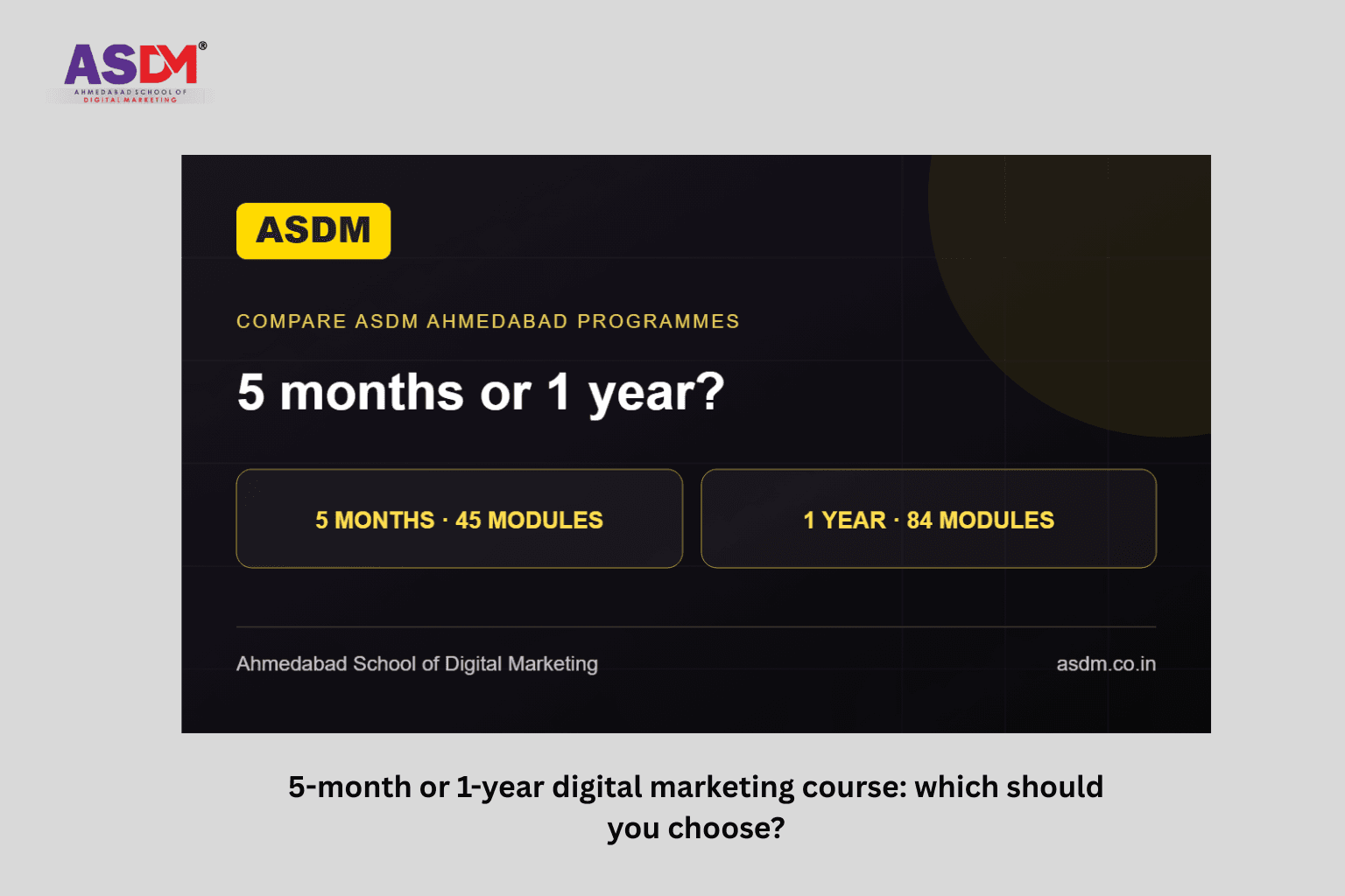 5-month or 1-year digital marketing course: which should you choose?