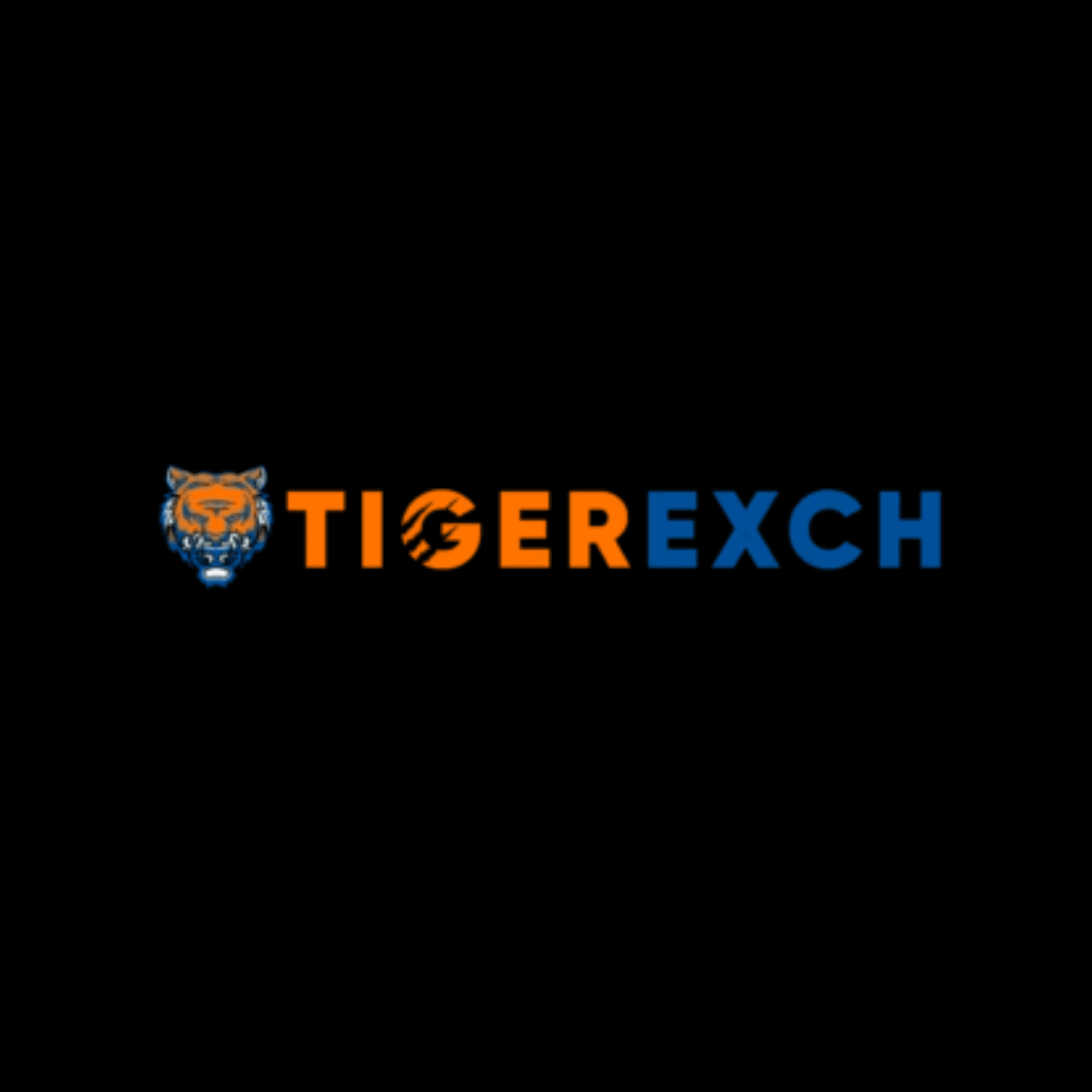 Tiger365: An Informational Overview of the Online Gaming Platform