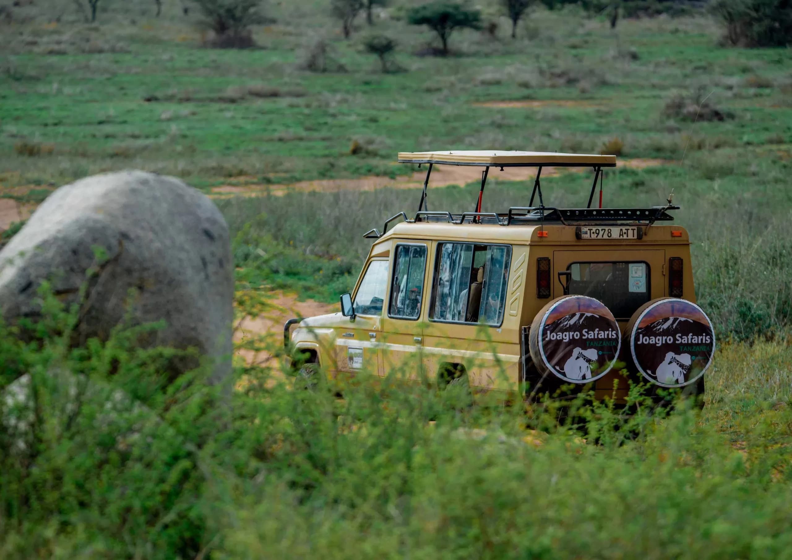 Join Group Safari Tanzania