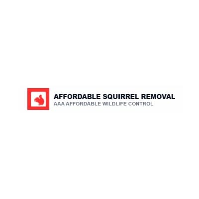 AFFORDABLE SQUIRREL REMOVAL