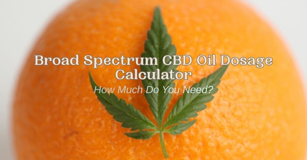 Broad Spectrum CBD Oil Dosage Calculator: How Much Do You Need?